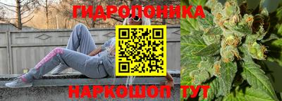 MDMA Гатчина