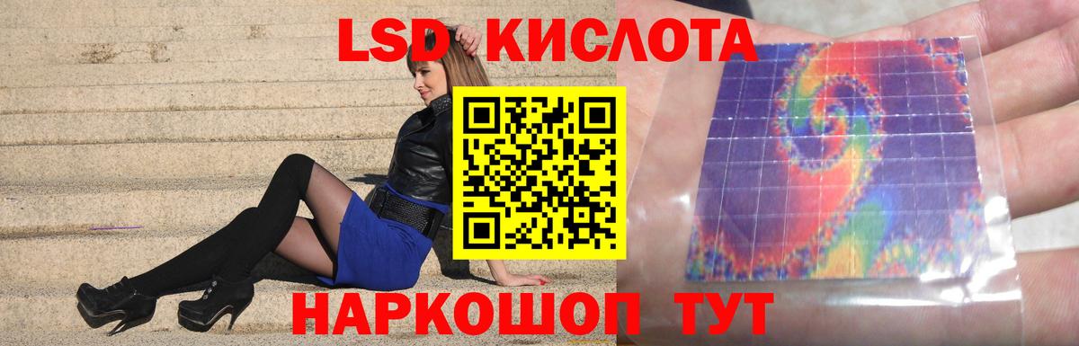 Бердск  omg зеркало  LSD-25 экстази  Вход с VPN  ЛСД экстази ecstasy 