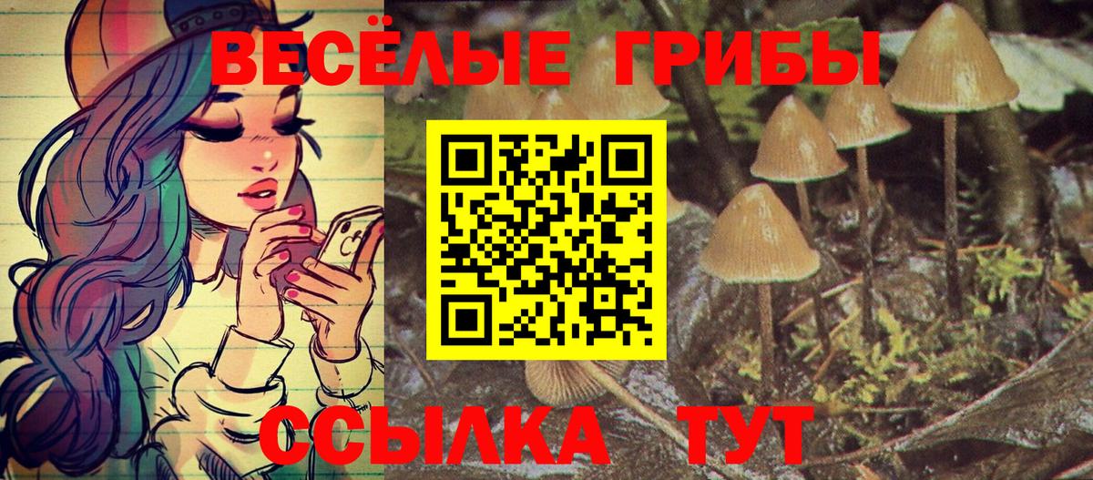 Псилоцибиновые грибы ЛСД Бердск