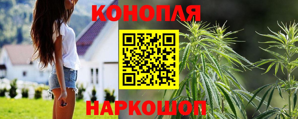 Каннабис семена Бердск